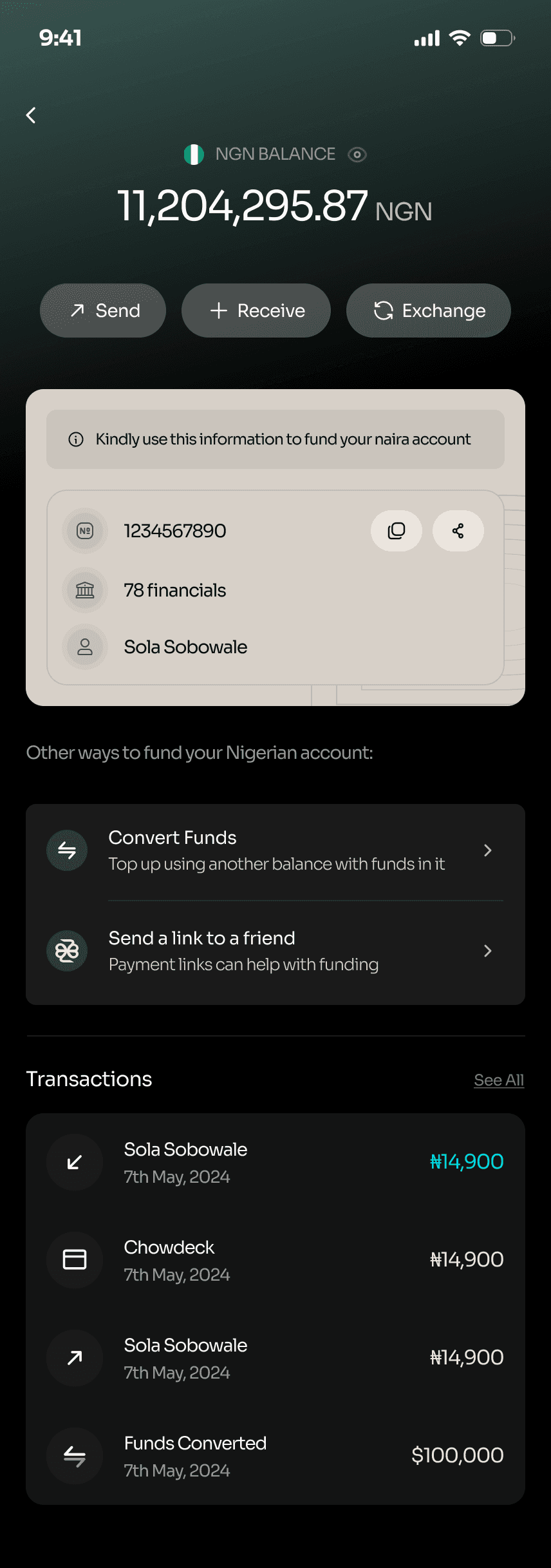 Naira balance: 11,204,295.87 NGN, account details for funding, and transactions